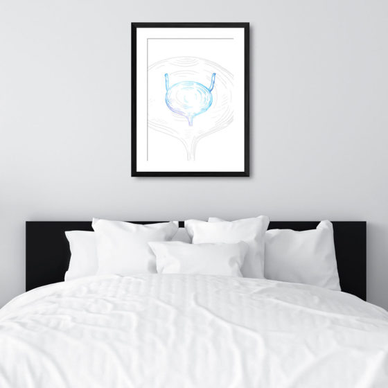 Anatomy Hand Drawn Outline Bladder Print - Image 6