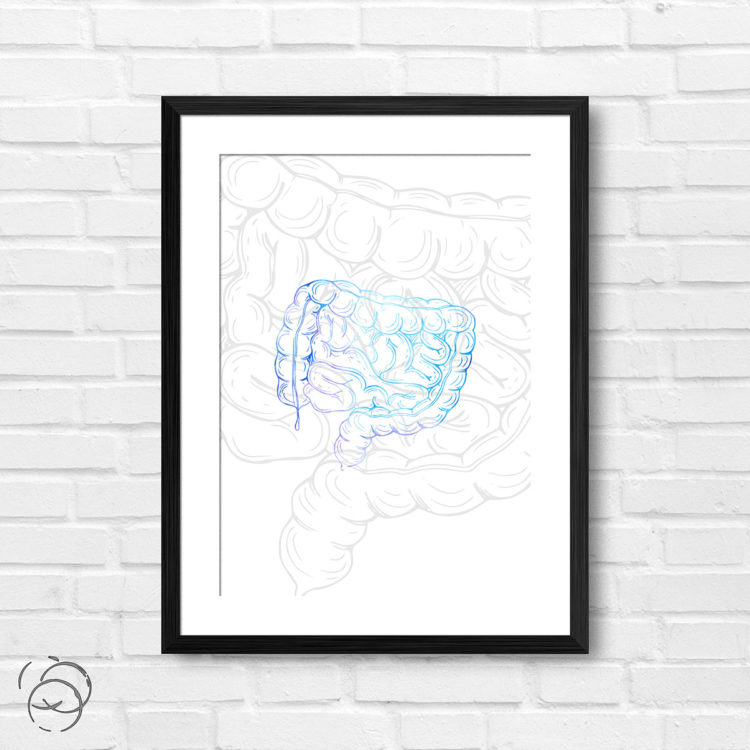 Anatomy Hand Drawn Outline Intestine Print