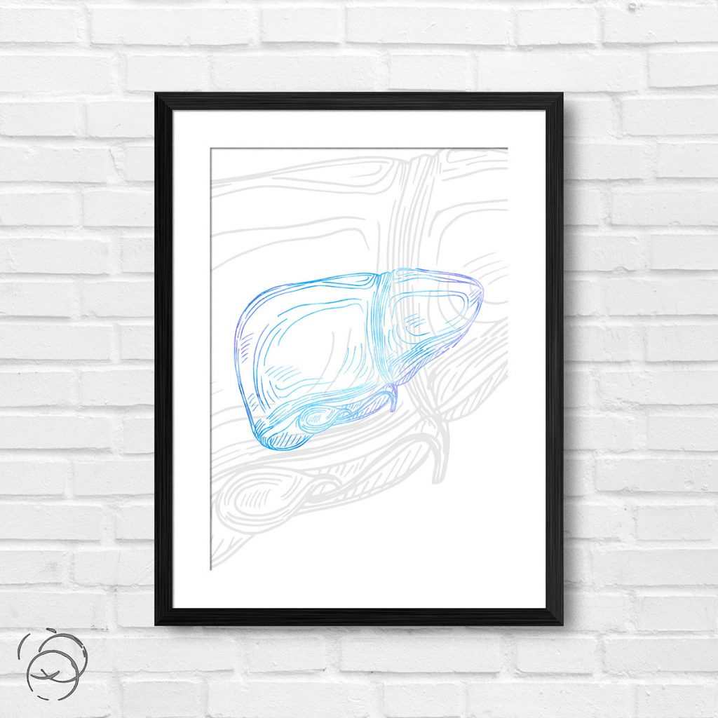 Anatomy Hand Drawn Outline Liver Print - Pink Tag Prints