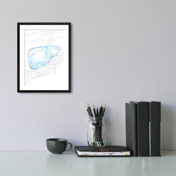 Anatomy Hand Drawn Outline Liver Print - Image 2
