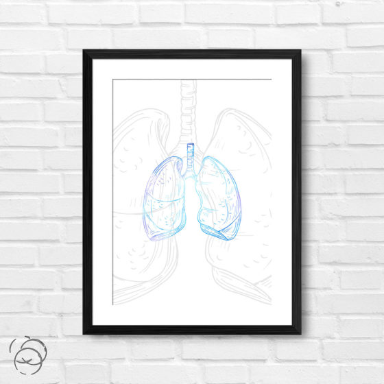 Anatomy Hand Drawn Outline Lungs Print