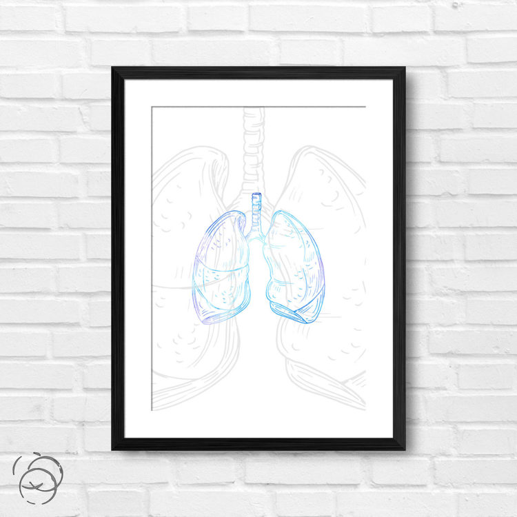 Anatomy Hand Drawn Outline Lungs Print