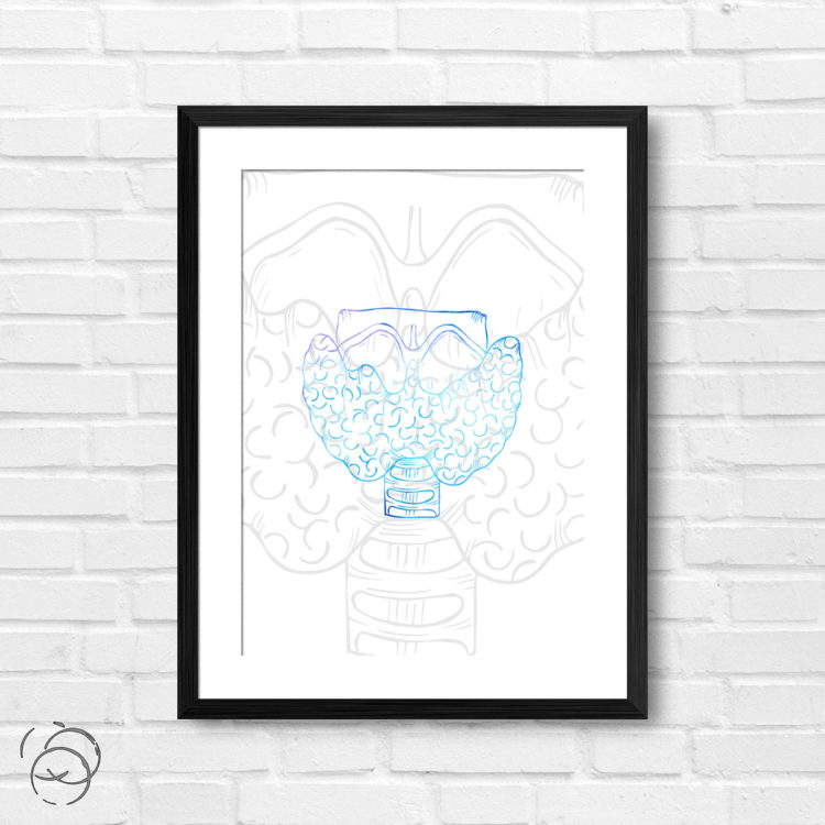 Anatomy Hand Drawn Outline Thyroid Print