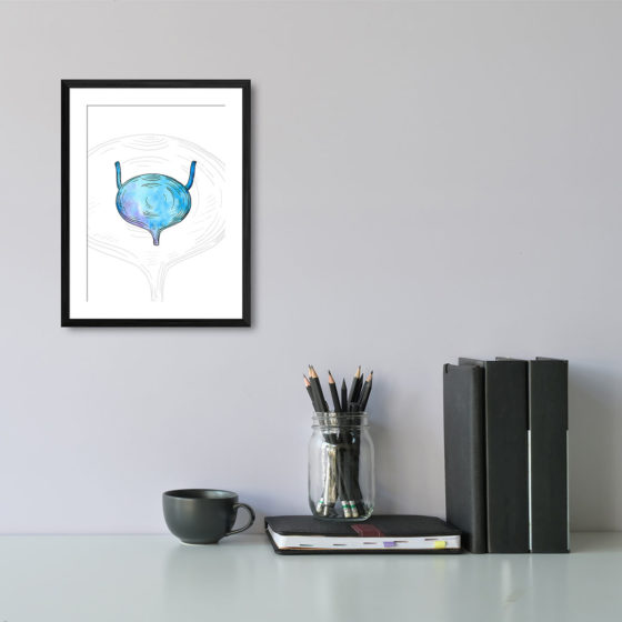 Anatomy Hand Drawn Watercolour Bladder Print - Image 2