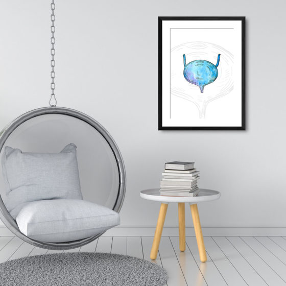Anatomy Hand Drawn Watercolour Bladder Print - Image 3