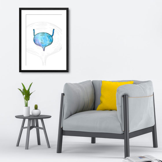 Anatomy Hand Drawn Watercolour Bladder Print - Image 4