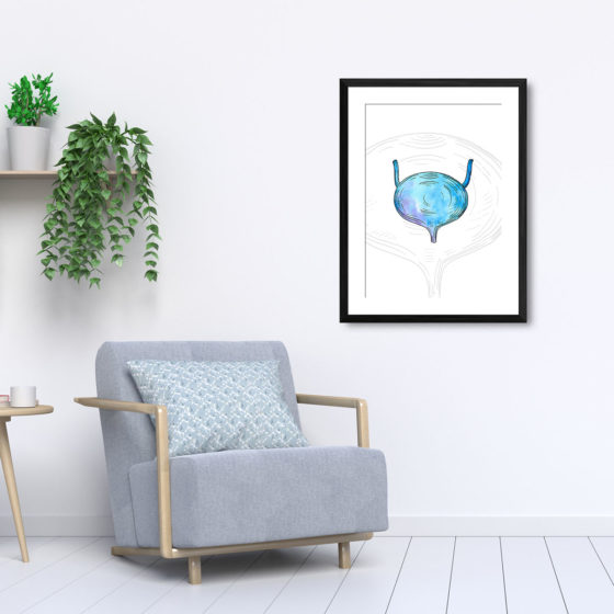 Anatomy Hand Drawn Watercolour Bladder Print - Image 5