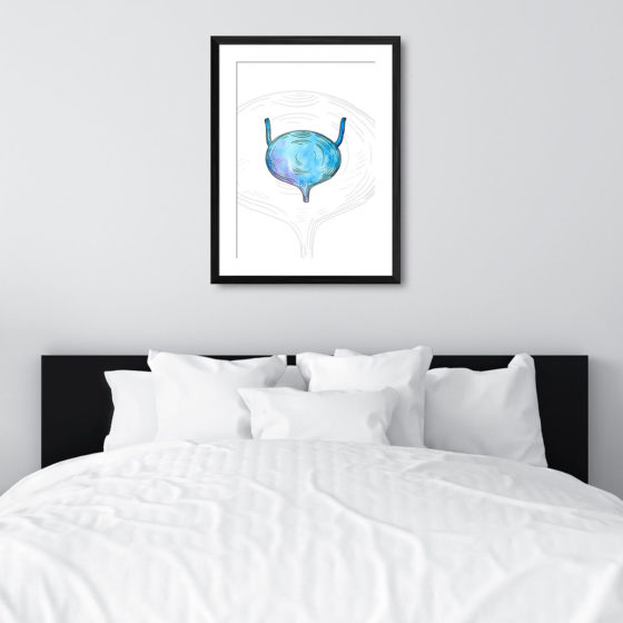 Anatomy Hand Drawn Watercolour Bladder Print - Image 6