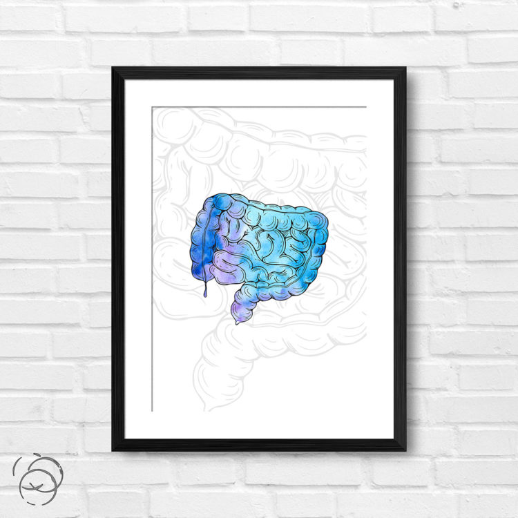 Anatomy Hand Drawn Watercolour Intestine Print
