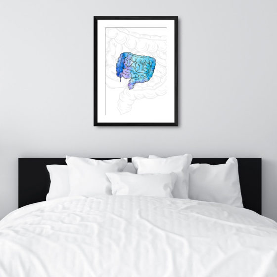 Anatomy Hand Drawn Watercolour Intestine Print - Image 6