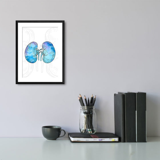 Anatomy Hand Drawn Watercolour Kidney Print - Image 2