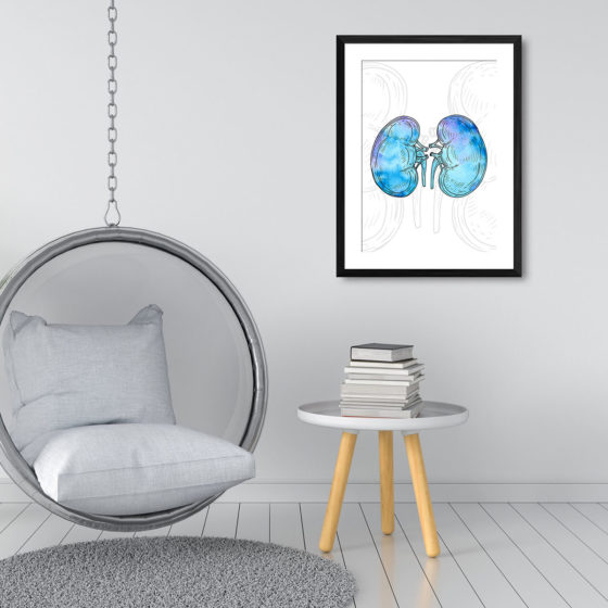 Anatomy Hand Drawn Watercolour Kidney Print - Image 3