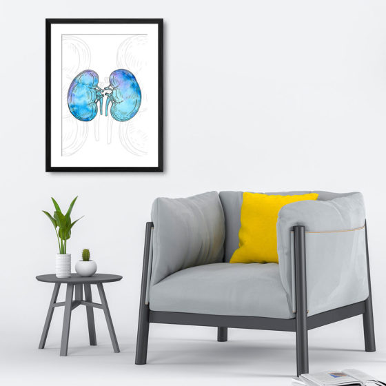 Anatomy Hand Drawn Watercolour Kidney Print - Image 4
