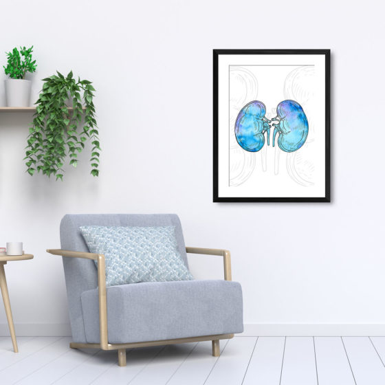 Anatomy Hand Drawn Watercolour Kidney Print - Image 5