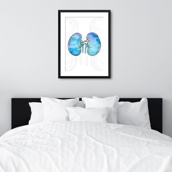 Anatomy Hand Drawn Watercolour Kidney Print - Image 6
