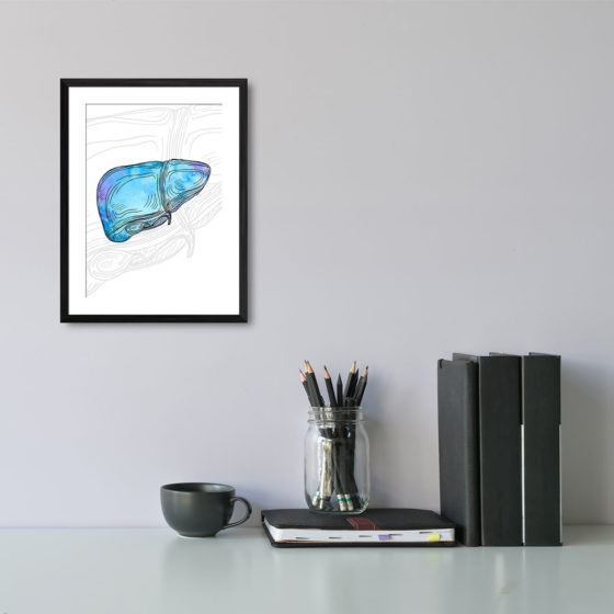 Anatomy Hand Drawn Watercolour Liver Print - Image 2