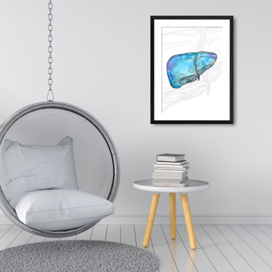 Anatomy Hand Drawn Watercolour Liver Print - Image 3