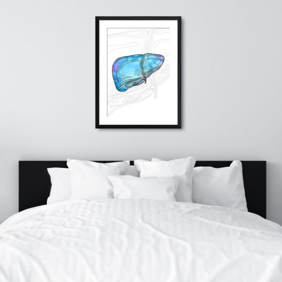 Anatomy Hand Drawn Watercolour Liver Print - Image 6