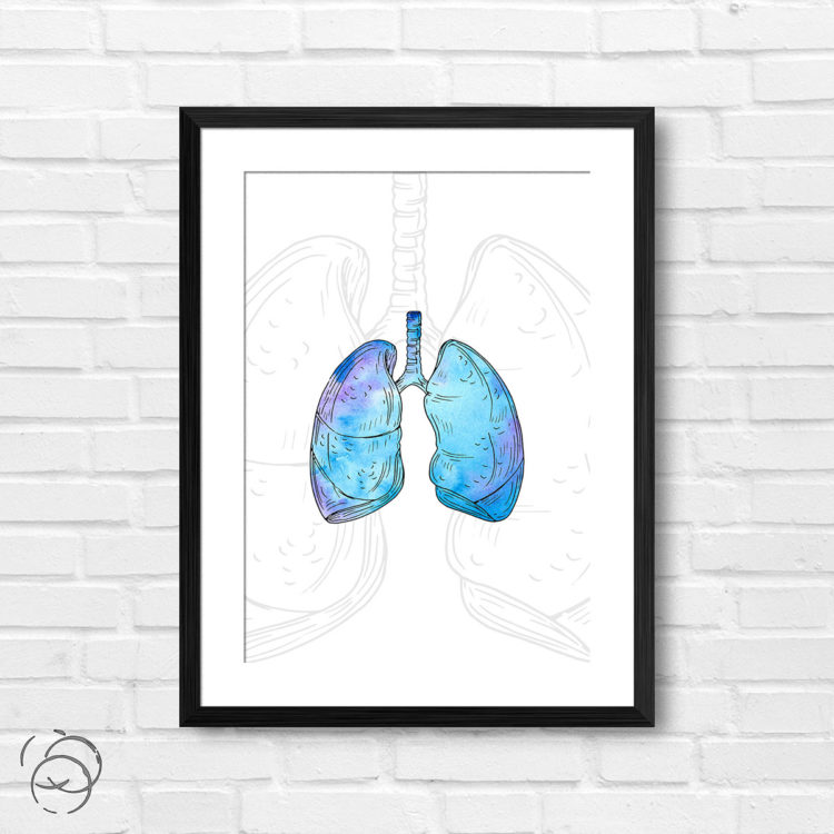Anatomy Hand Drawn Watercolour Lungs Print