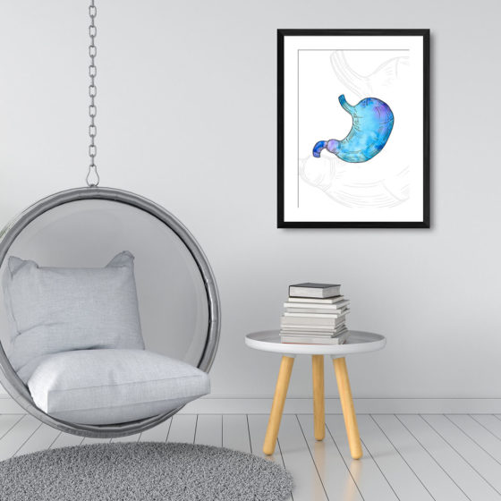 Anatomy Hand Drawn Watercolour Stomach Print - Image 3