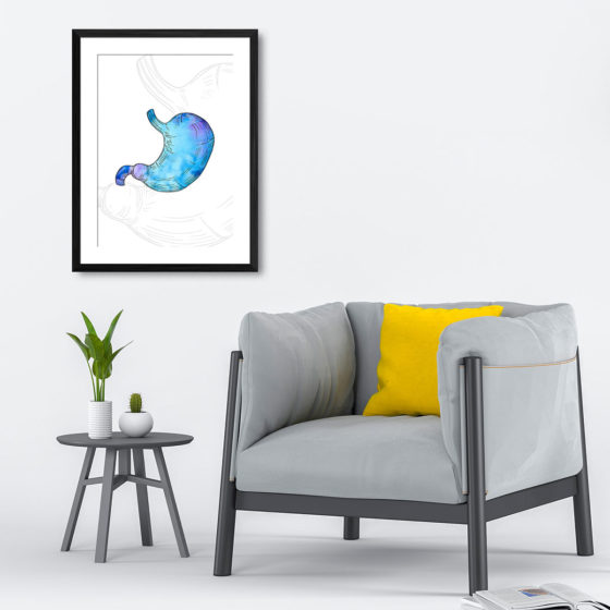 Anatomy Hand Drawn Watercolour Stomach Print - Image 4