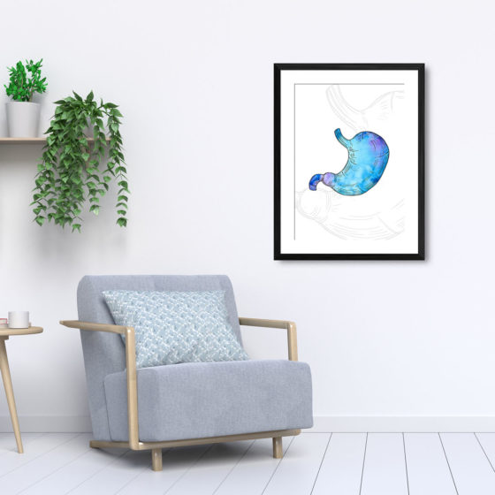 Anatomy Hand Drawn Watercolour Stomach Print - Image 5