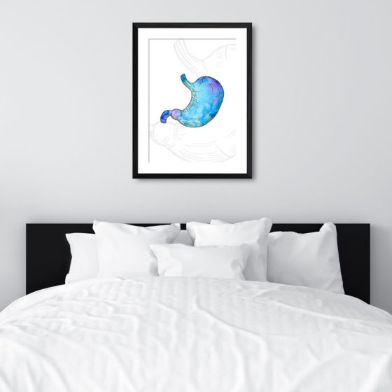 Anatomy Hand Drawn Watercolour Stomach Print - Image 6