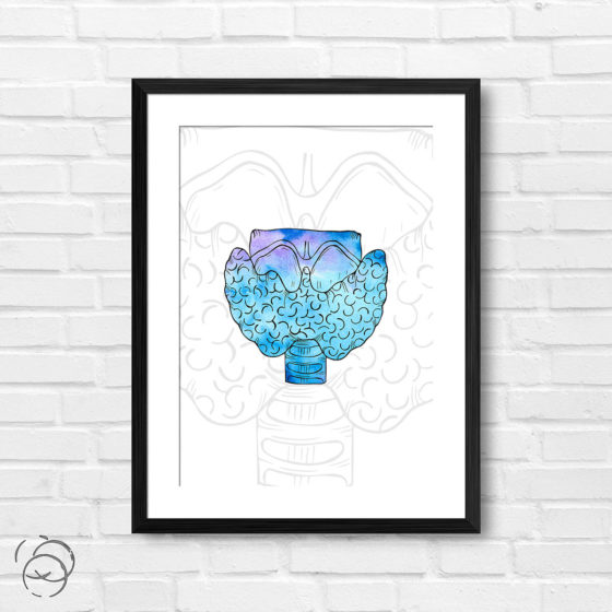 Anatomy Hand Drawn Watercolour Thyroid Print