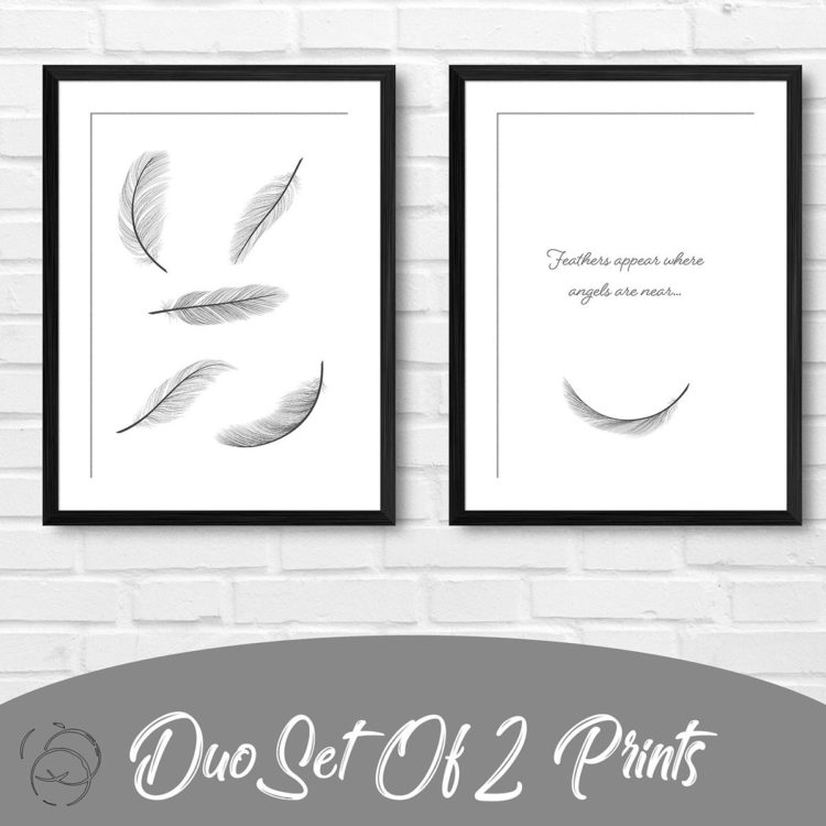 Feathers Appear Where Angles Are Near Duo Prints