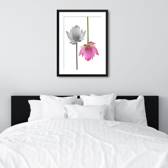 Pink And Monochrome Lotus Flower Print - Image 2