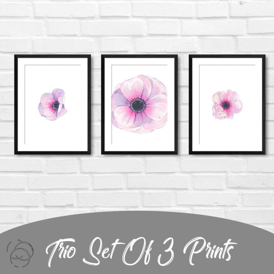 Pink Anemone In Watercolour Trio Prints