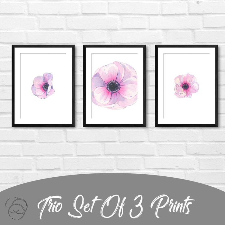 Pink Anemone In Watercolour Trio Prints