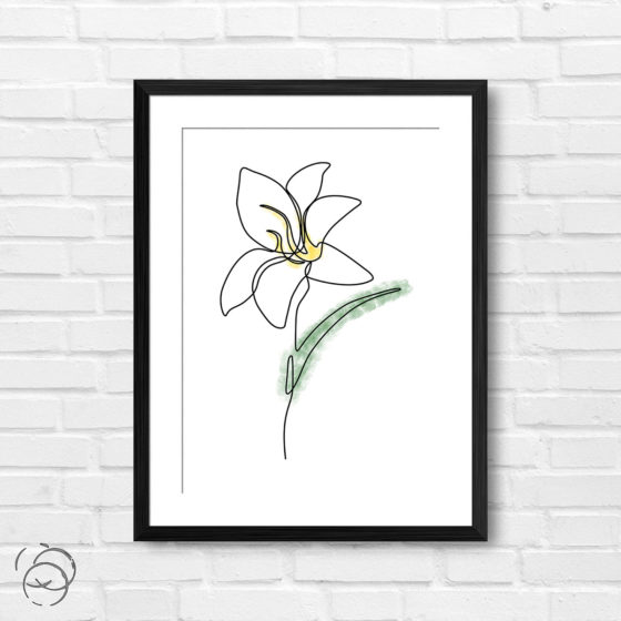 Single Line White Lily Watercolour Flower Print