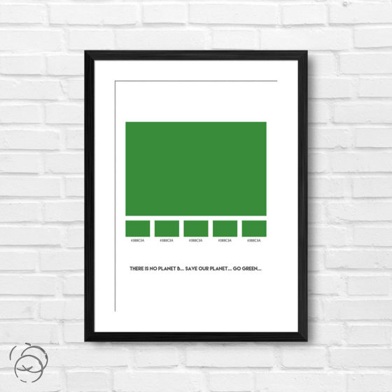 There Is No Planet B Palette Print