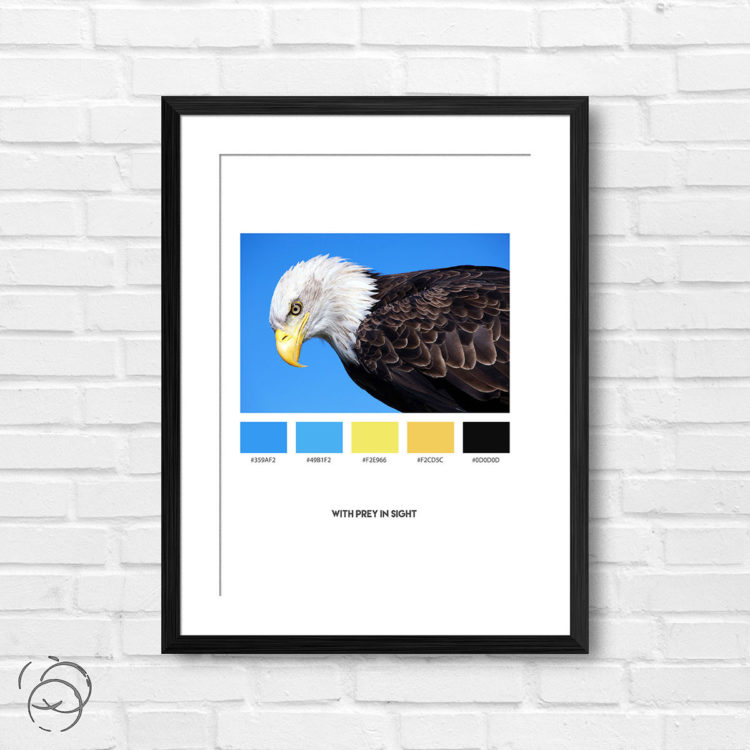 With Prey In Sight Palette Print
